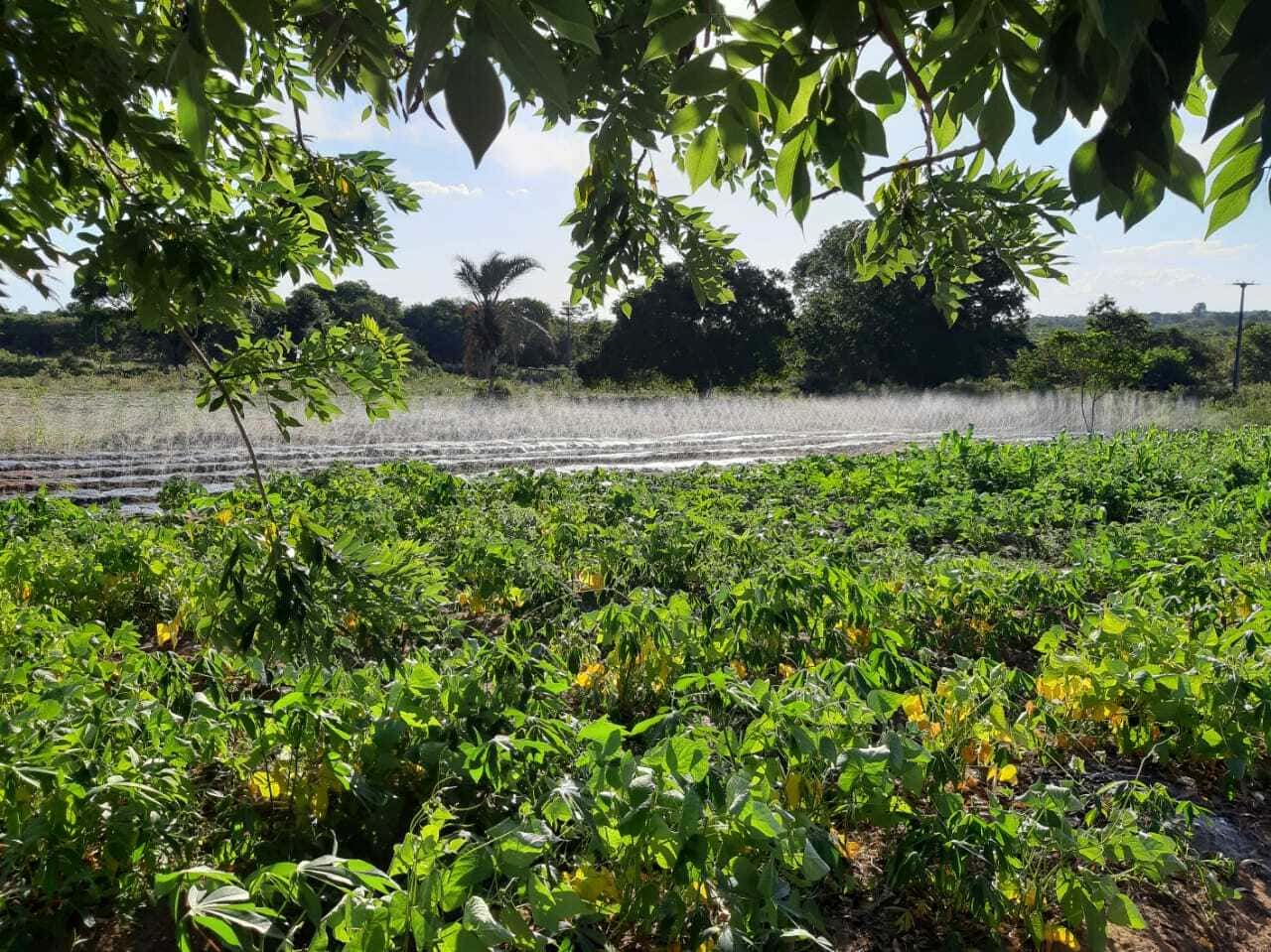 Instituto_Rebrota_74